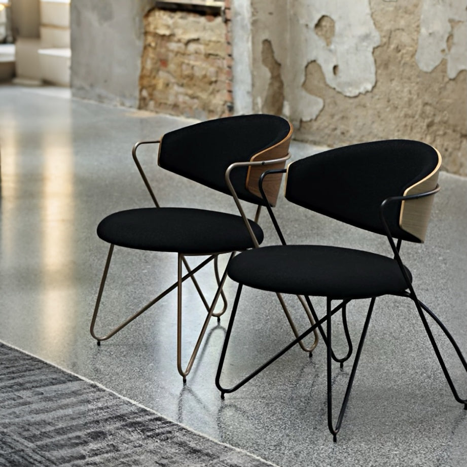 COZONI Marcello Dining Chair